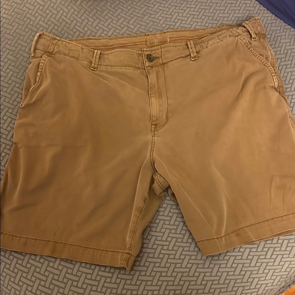 Lucky Brand Brown/Tan Flat Front Shorts VGUC
